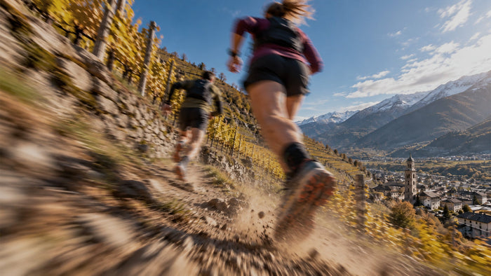 Immagine che raffigura il Valtellina Wine Trail